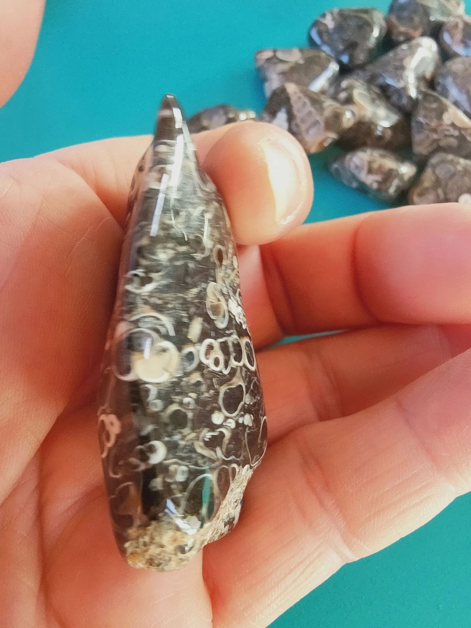 Een zeer mooie agate turitelle – photo 5